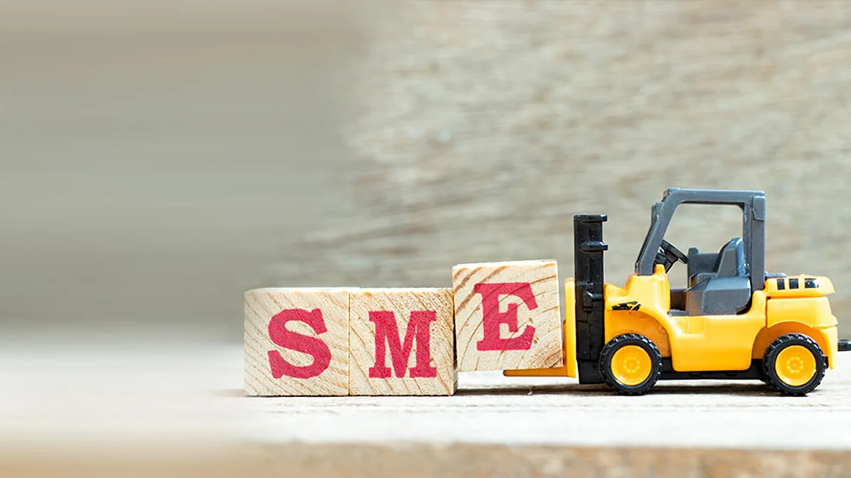 Different Types of SME Loans Available In India Different Types of SME Loans Available In India