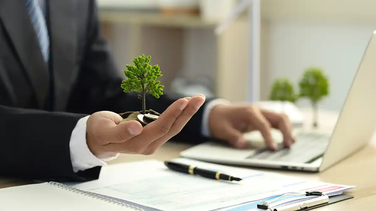 What is a Green Business Loan?