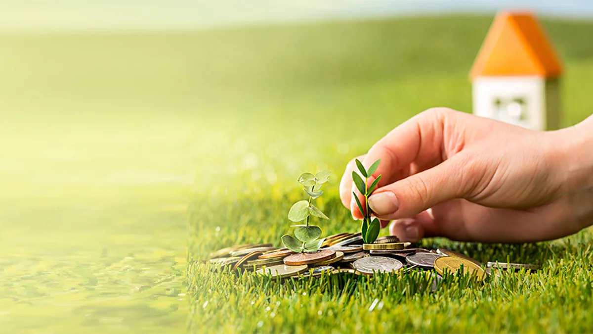 micro-loan