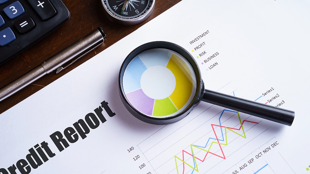 CIBIL report Update