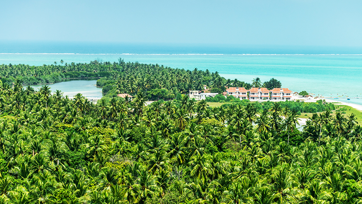view from lighthouse