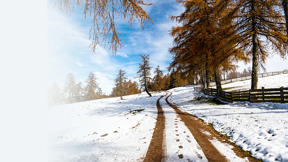 Indian Snowfall Spots