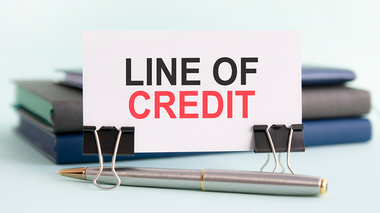 What is Line of Credit (LOC) Meaning, Type and Example
