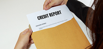 business credit report agencies